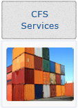 CFS Services